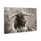 Stupell Industries Longhorn's Gaze Photography Canvas Wall Art Design by Nathan Larson
